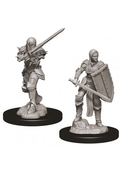 D&D Nolzur's Marvelous Unpainted Miniatures: Female Human Fighter